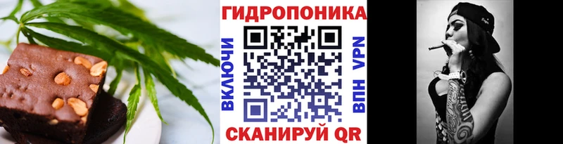кракен вход Камышин Печенье с ТГК конопля