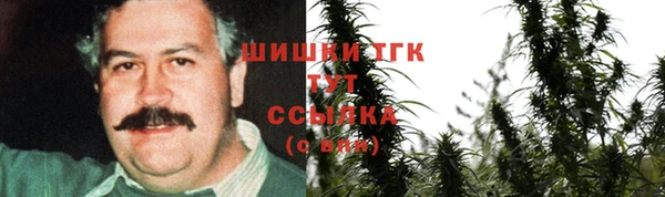 ГАЛЛЮЦИНОГЕННЫЕ ГРИБЫ Надым