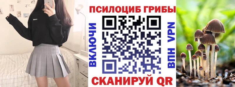 дарнет шоп  Камышин  Галлюциногенные грибы GOLDEN TEACHER 